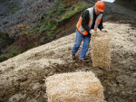 Rotating WoodStraw&reg; images